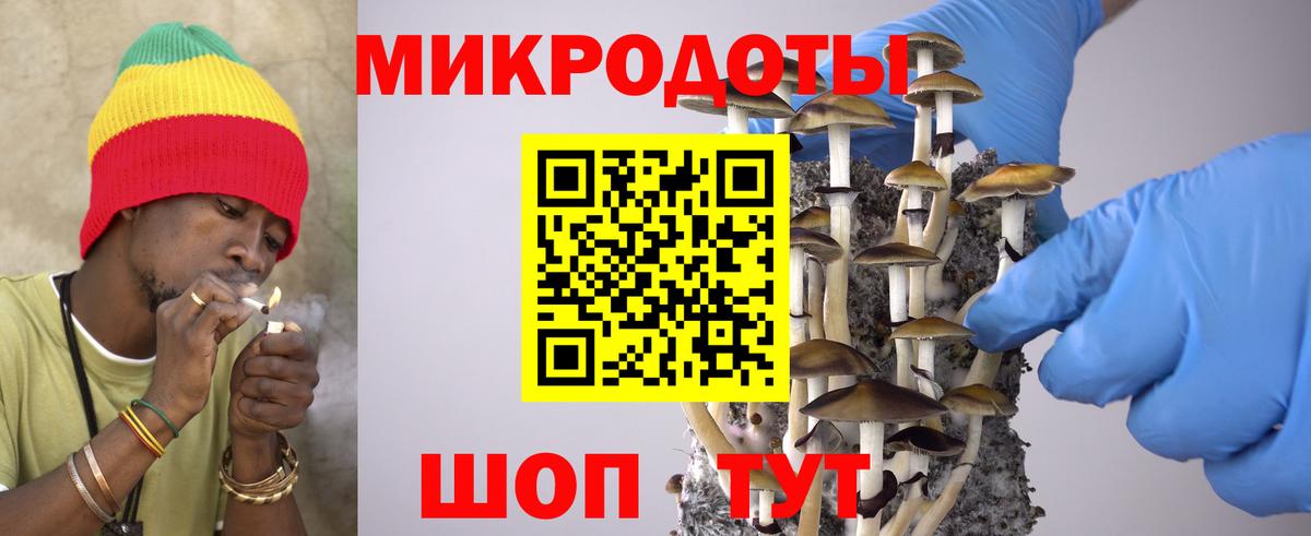 Псилоцибиновые грибы прущие грибы Волжский